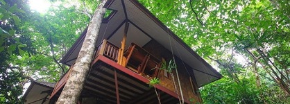 Baan Khao Sok Resort