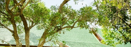 The Green Beach Resort