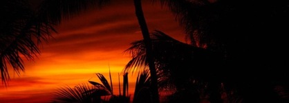 Sibaja Palms Sunset Beach Apartment