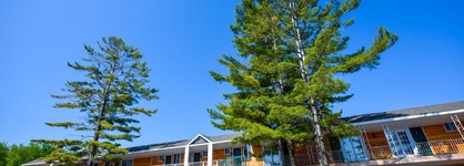 Cabins Of Mackinaw