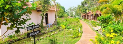 Daisy Resort