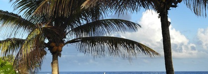 Hotel Manganao
