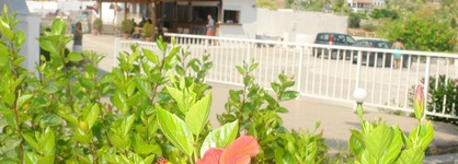 Archodia Studios