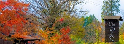 Yamamomiji