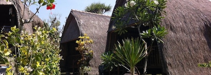 Dream Beach Huts