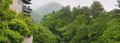 Hanamurasaki