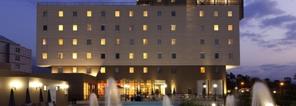 Ibis Malabo
