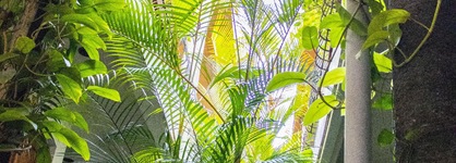 Árbol De Fuego Eco-Hotel, A Green Experience In The City