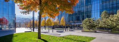 The Ritz-Carlton