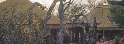 Jabulani Safari Relais & Chateaux