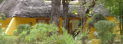Pelican Du Saloum