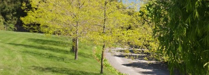 Akaroa Cottages Heritage Boutique Collection