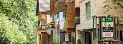 Ioana Hotels