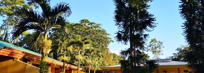 Hotel Villa Florencia