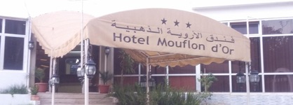 Moflon D’Or