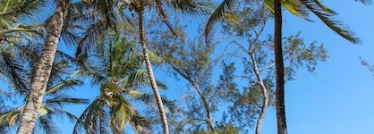 Turtle Bay Beach Club