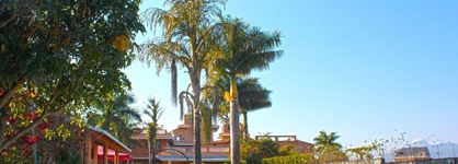 Royal Palm Resort