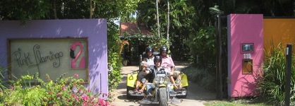 Pink Flamingo Resort
