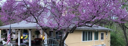 Red Bud Manor