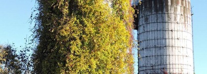 Saratoga Farmstead B&B
