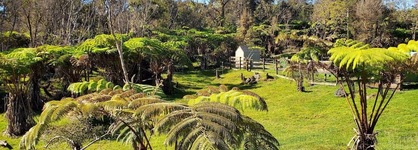 Volcano Acres Ranch B&B