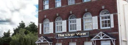 The Liver View