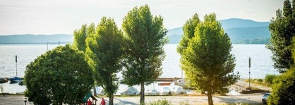 Alloggio Del Gatto