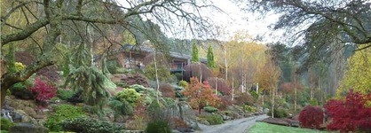 Mast Gully Gardens Bed & Breakfast