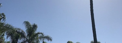 Lani's Holiday Island - Caravan Park