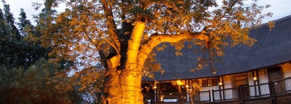 Cresta Mowana Safari Resort & Spa
