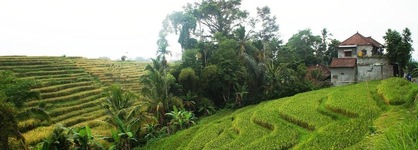 Yeh Panes Bali