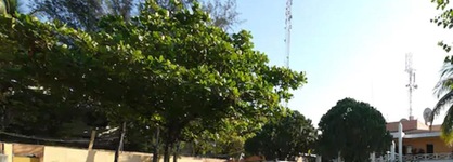 Visa Lodge