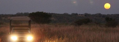 Bonamanzi Game Reserve