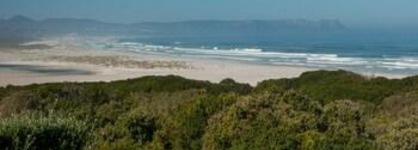 Mosselberg On Grotto Beach
