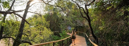 Thornybush Game Lodge