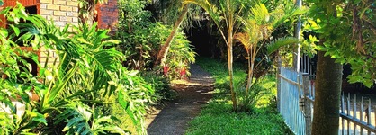 Perna Perna St Lucia