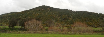 Bay Of Islands Country Lodge Motel