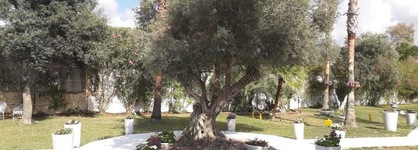 El Yam Luxury Resort