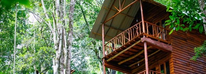 Ella Eco Lodge