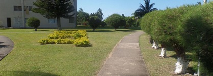 Island Breeze Studio