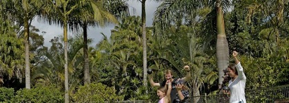 Nrma Darlington Beach Holiday Resort