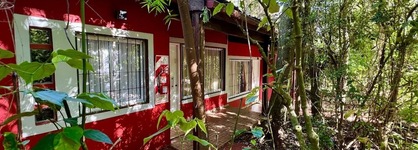 Rainforest Hotel & Cabañas