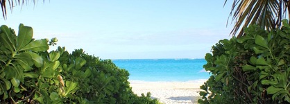 The All New Grace Bay Suites