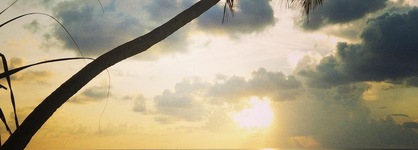 Evexia Beach Collection - A Premium Wellness Retreat