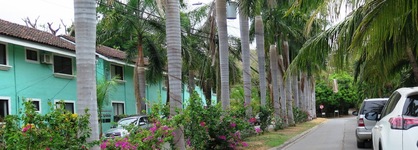 Tropical Gardens