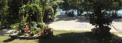 Sea Turtle House