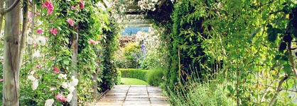 Marchmont Gardens