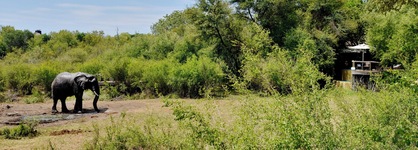 Motswiri Private Safari Lodge