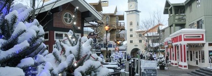 Vantage Point Villas At Stratton Mountain Resort