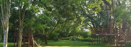Nut Grove Manor